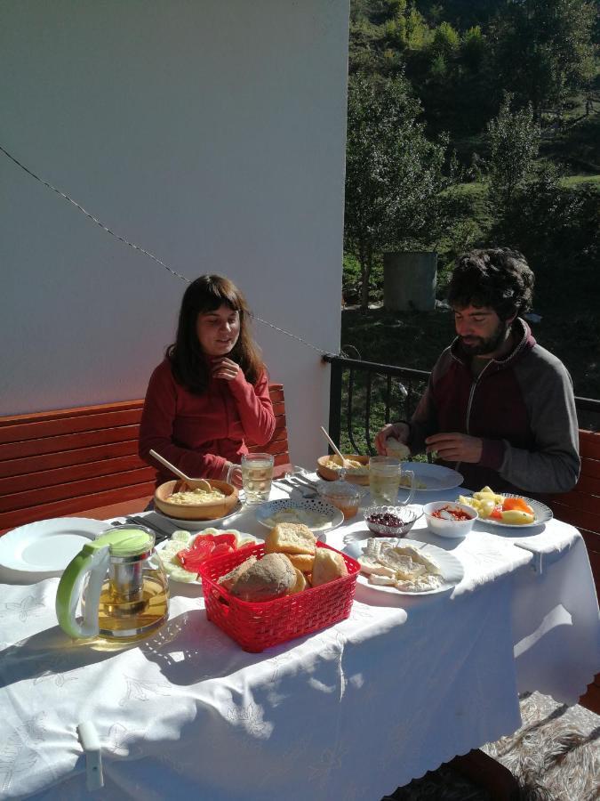 פלאב Eco Village Jasavic מראה חיצוני תמונה